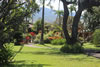 Photo of the yard at Maui Sands