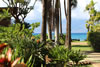 Photo of the yard at Maui Sands