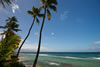 Photo of the beach at Maui Sands